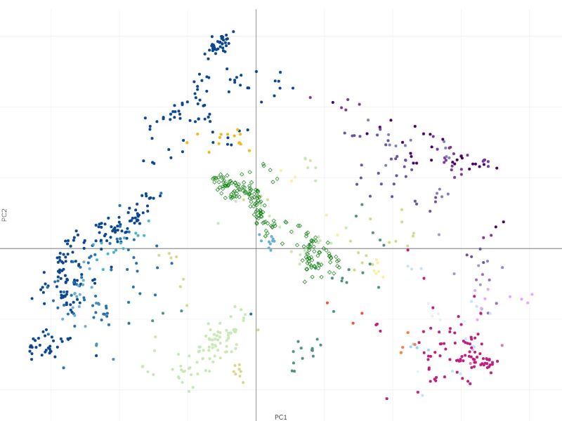 Villani projection