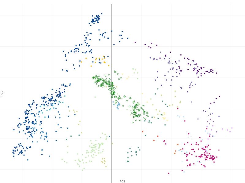 Villani projection