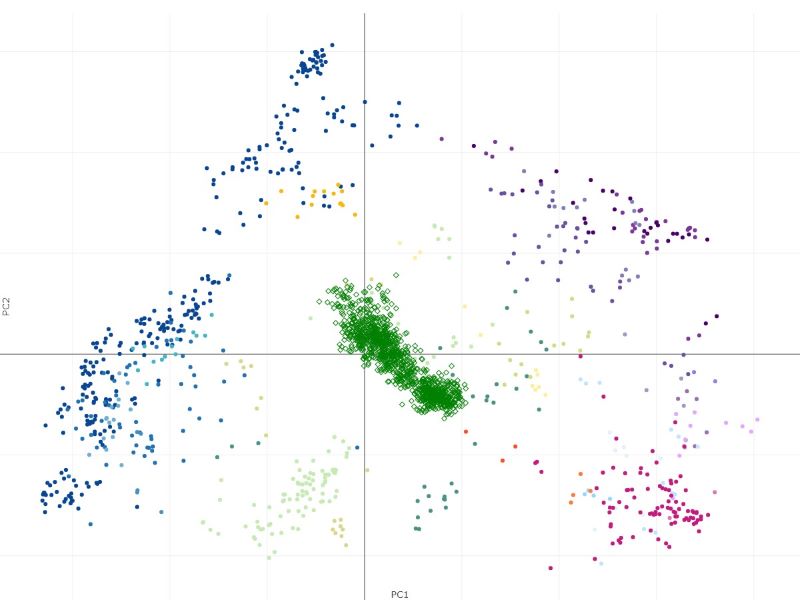 Villani projection