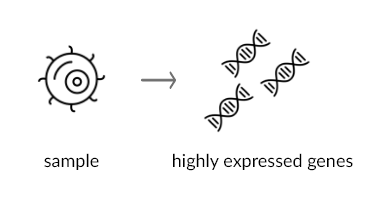 Find genes from samples